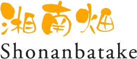 夏野菜の代名詞、完熟トマト